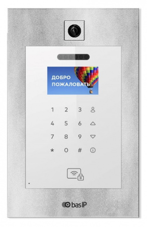 AA-11B SILVER Вызывная видеопанель многоабонентская Фото