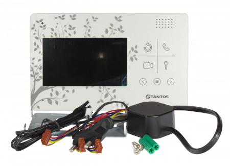 LILU LE Лес Фото LILU LE Лес Фото