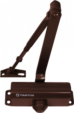 TS-DC065 (коричневый) Доводчик дверной Фото