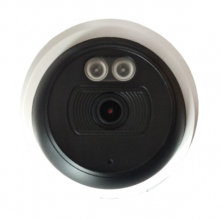 ST-SK2502 (2,8mm) внутренняя купольная IP-камера 2,1 Mp Фото