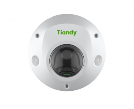 TC-C32PS Spec:I3/E/Y/M/H/2.8mm/V4.2 2Мп миникупольная IP камера с фиксированным объективом Фото