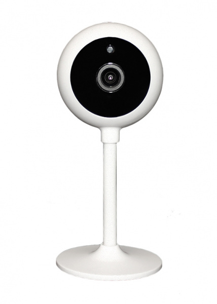 iШар Плюс Видеокамера Wi-Fiкомпактная с ИК подсветкой  Фото