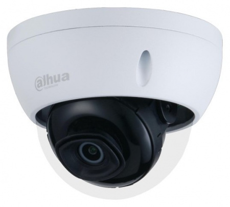 DH-IPC-HDBW2230EP-S-0280B-S2 Уличная купольная IP-видеокамера Фото
