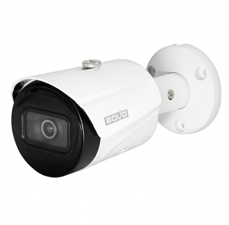 BOLID VCI-123 IP-камера уличная Фото